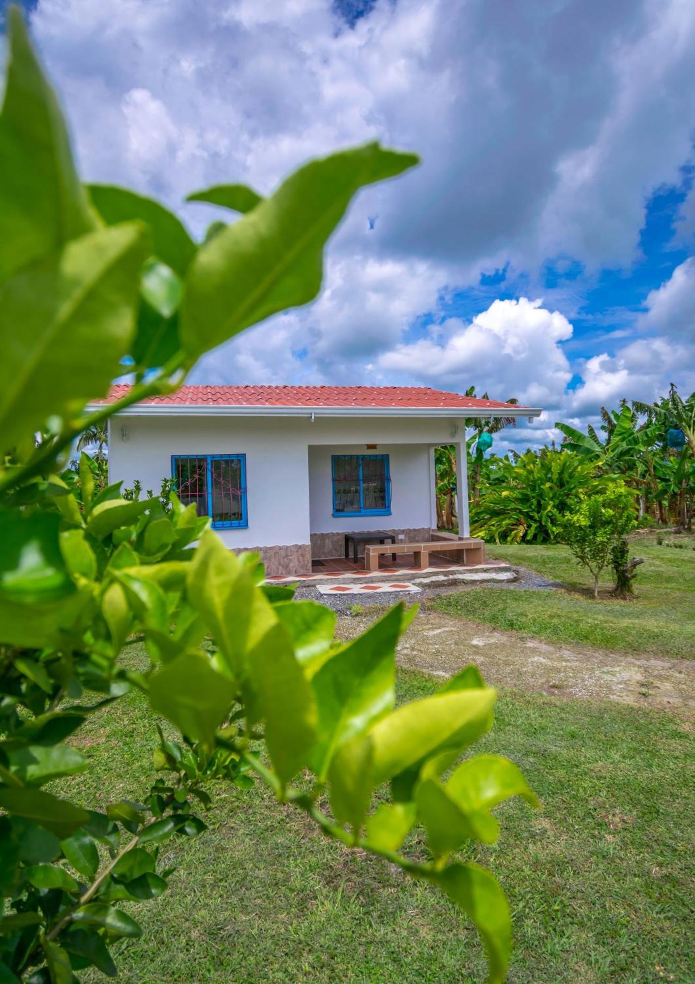Finca Hotel El Ocaso Quimbaya Kültér fotó